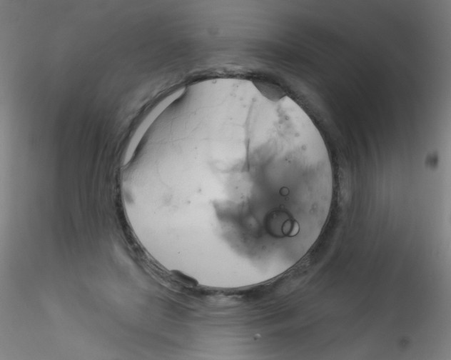 X0000115170451200911251338