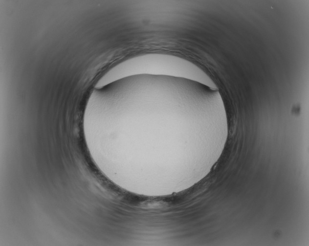 X0000115170452200911251338