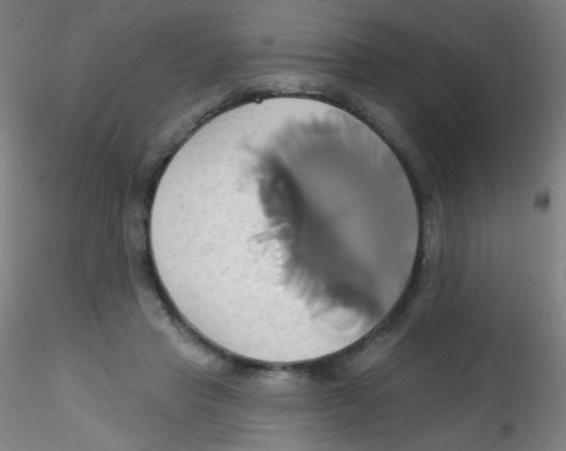 X0000115170453200911251338