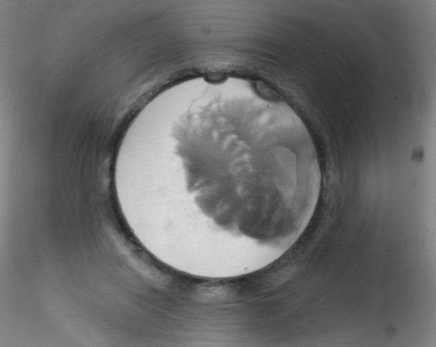 X0000115170454200911251338