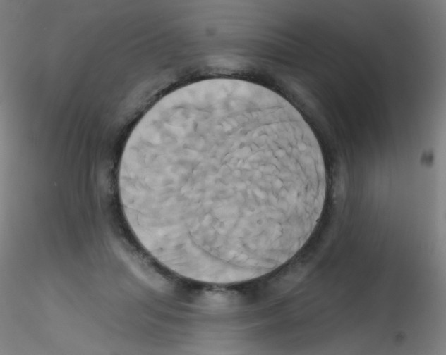 X0000115170455200911251338