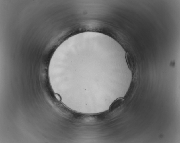 X0000115170456200911251338