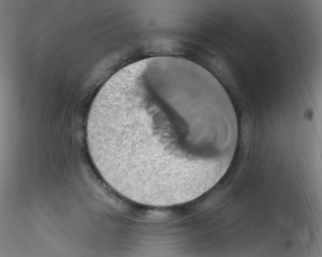 X0000115170457200911251338