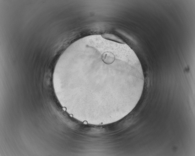 X0000115170458200911251338