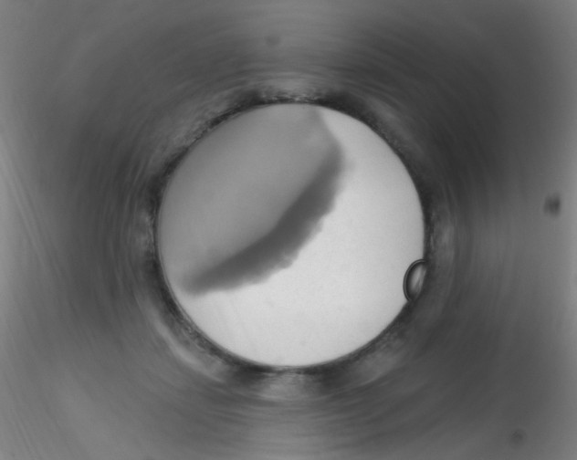 X0000115170459200911251338