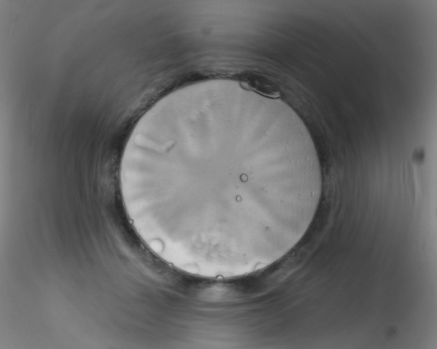 X0000115170460200911251338