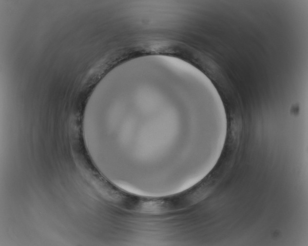 X0000115170461200911251338