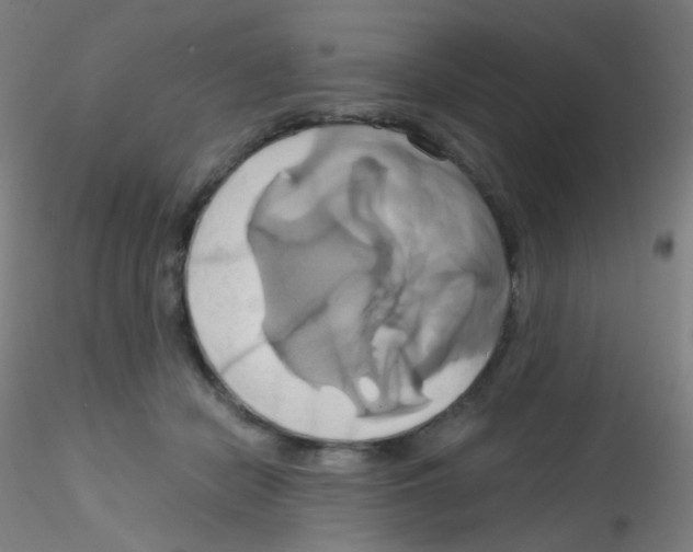 X0000115170462200911251338