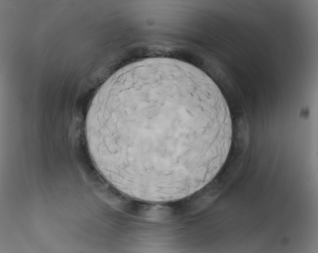 X0000115170463200911251338