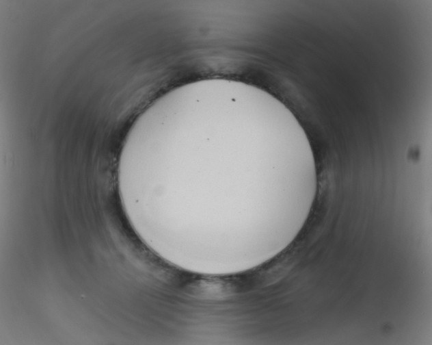 X0000115170464200911251338