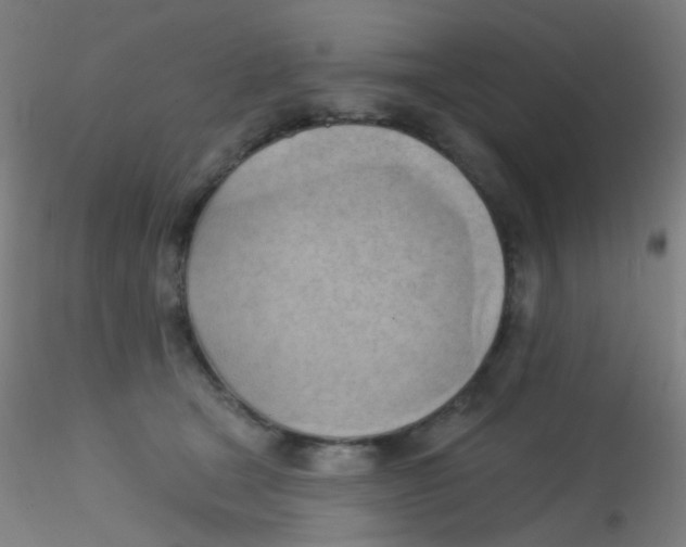 X0000115170465200911251338