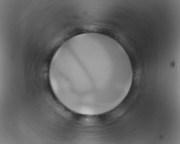 X0000115170466200911251338