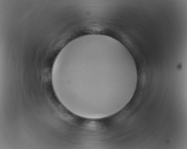 X0000115170467200911251338