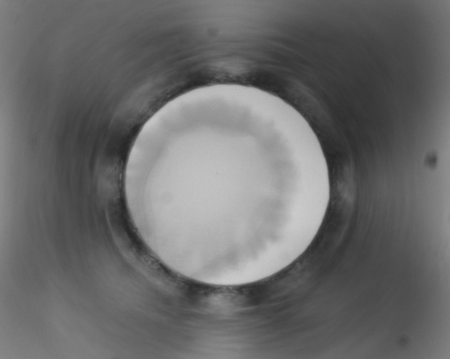 X0000115170468200911251338