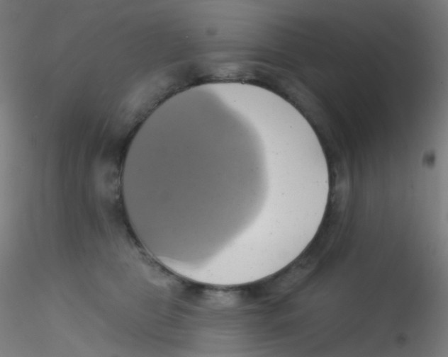 X0000115170469200911251338