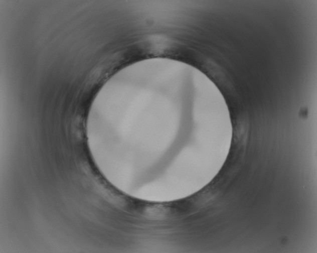 X0000115170470200911251338