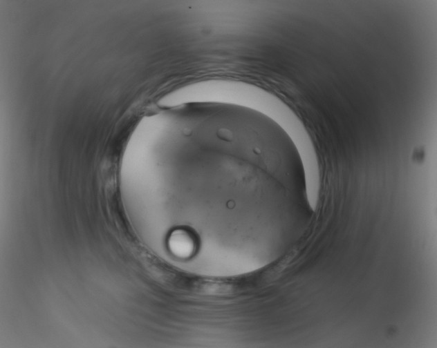 X0000115170471200911251338