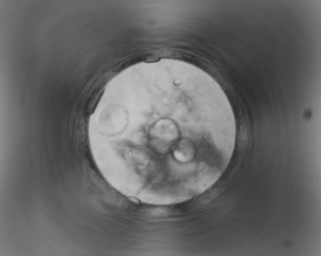 X0000115170473200911251338