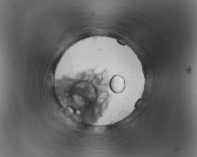 X0000115170474200911251338