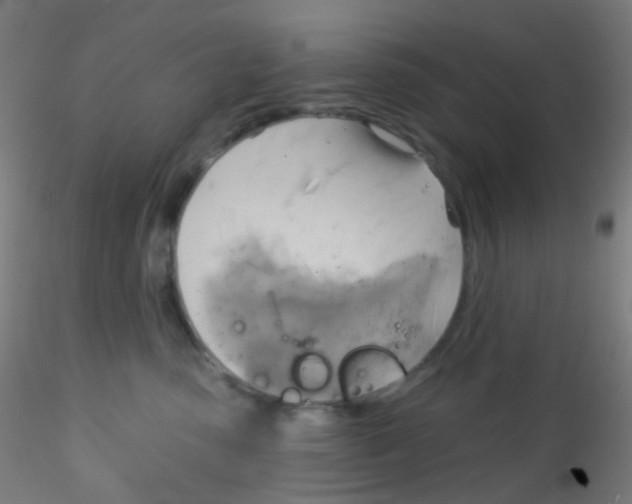 X0000115170475200911251338