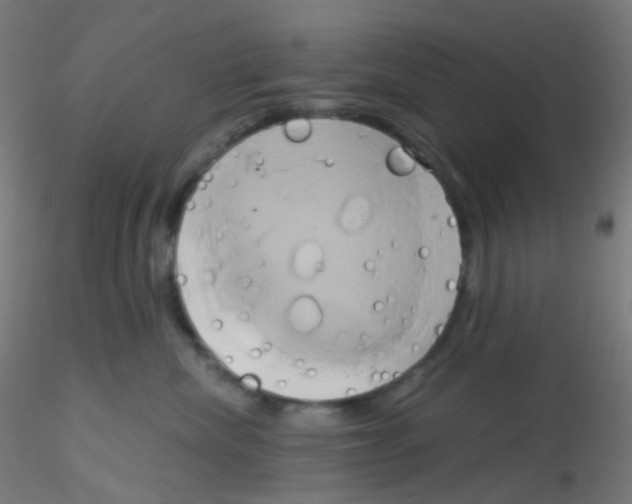 X0000115170476200911251338