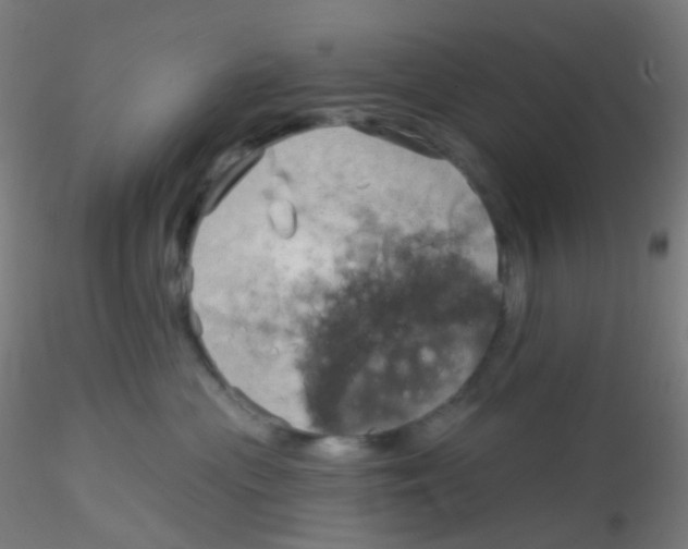 X0000115170477200911251338