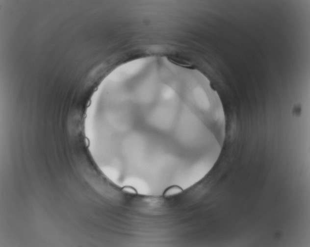 X0000115170478200911251338