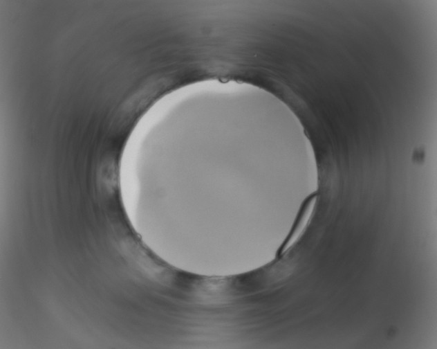 X0000115170479200911251338