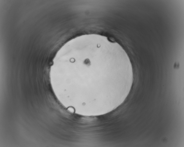 X0000115170480200911251338