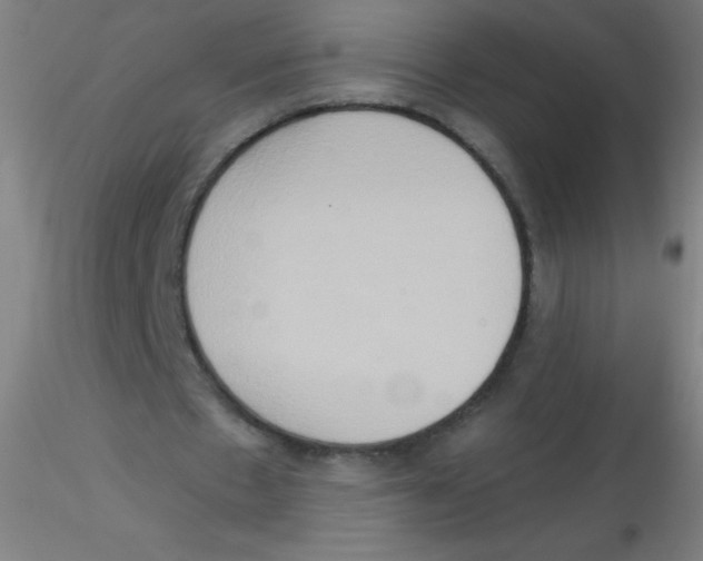 X0000115170481200911251337