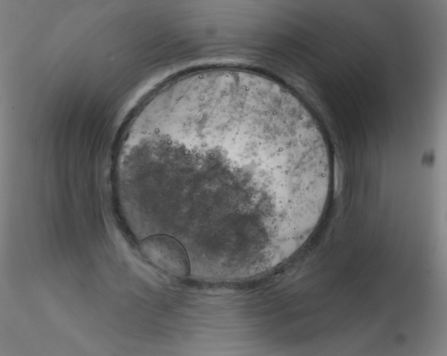 X0000115170483200911251337