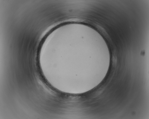 X0000115170484200911251337