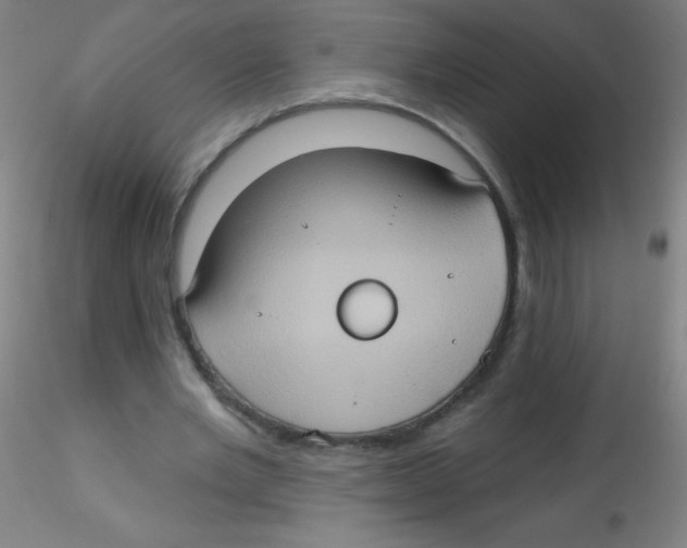 X0000115170485200911251337