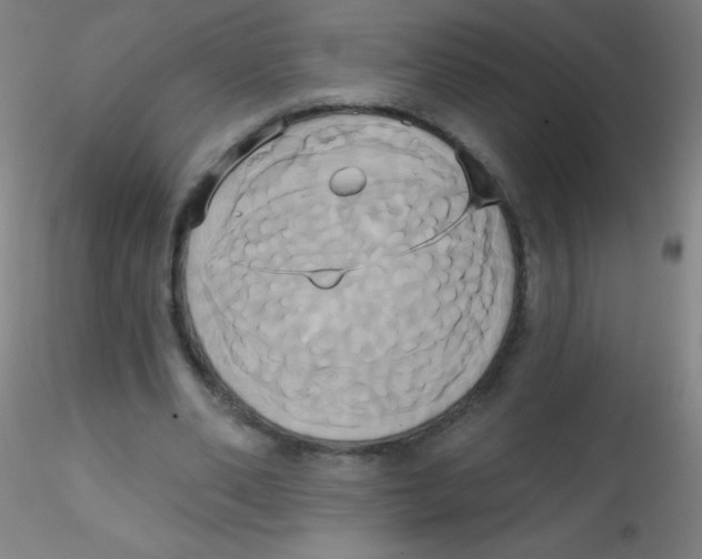 X0000115170486200911251337