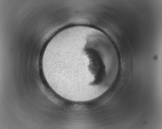 X0000115170487200911251337