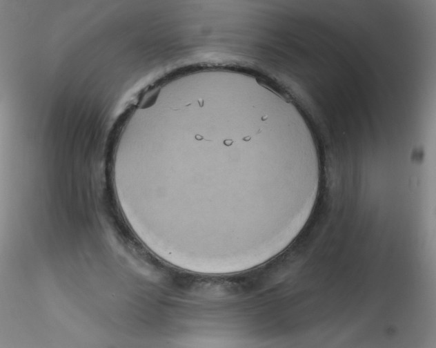 X0000115170488200911251337