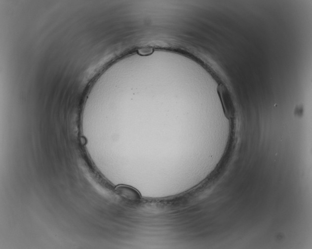 X0000115170489200911251337