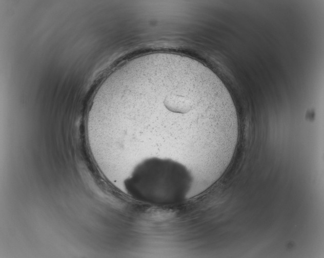 X0000115170491200911251337