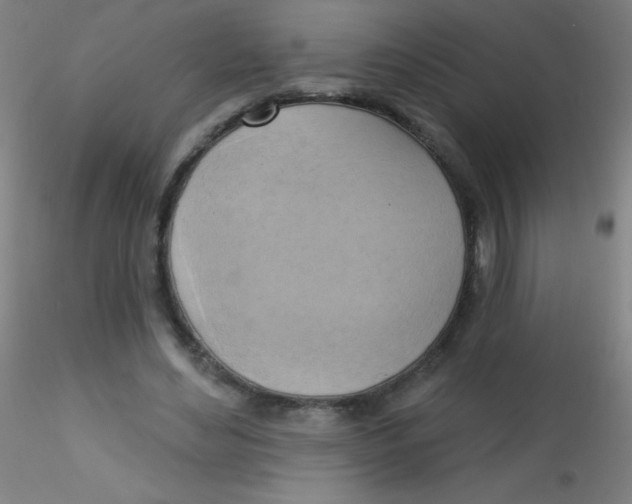 X0000115170492200911251337