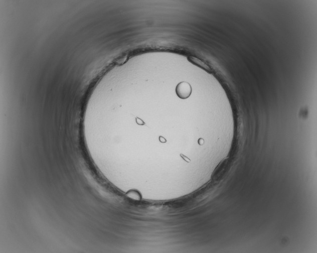 X0000115170493200911251337