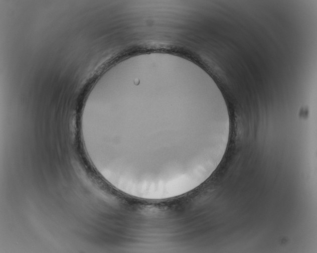 X0000115170494200911251337