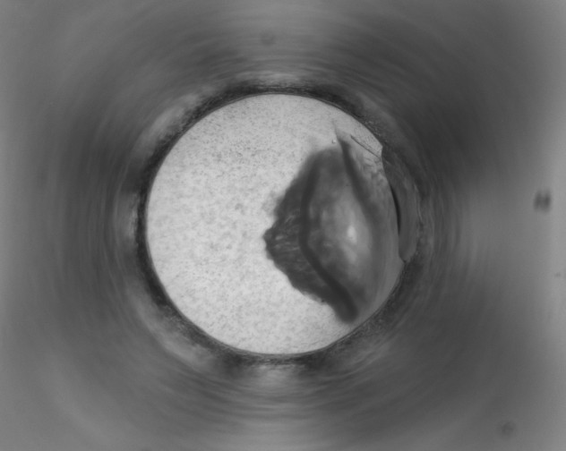 X0000115170495200911251337