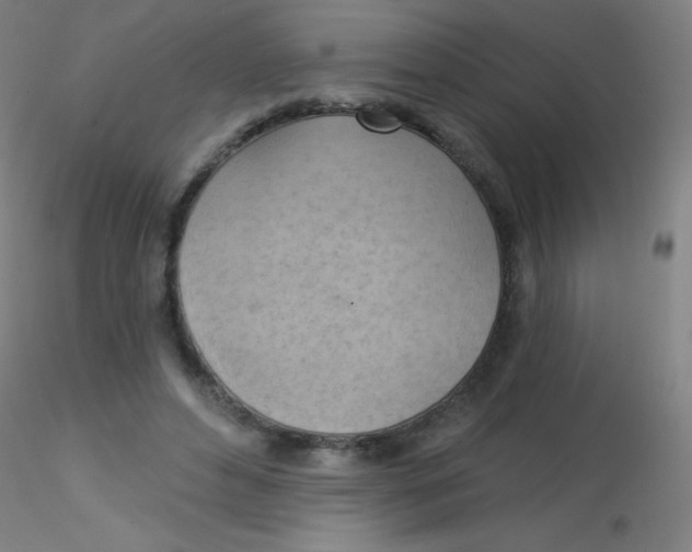 X0000115170496200911251337