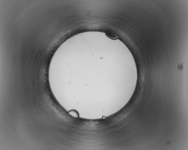 X0000115170497200911251337