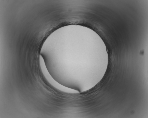 X0000115170499200911251337