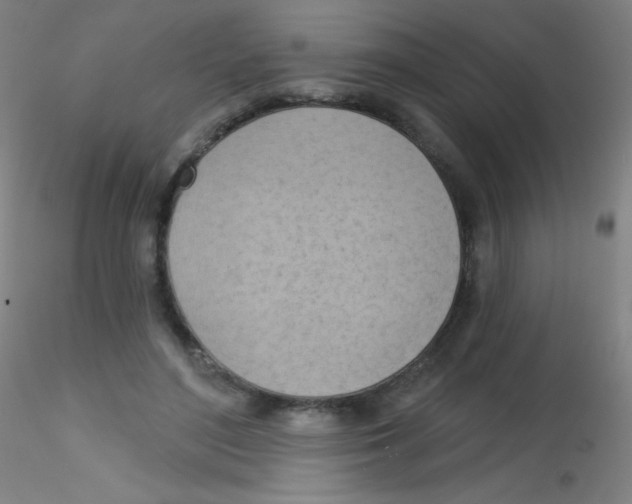 X0000115170500200911251337