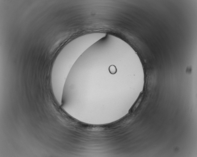 X0000115170501200911251337