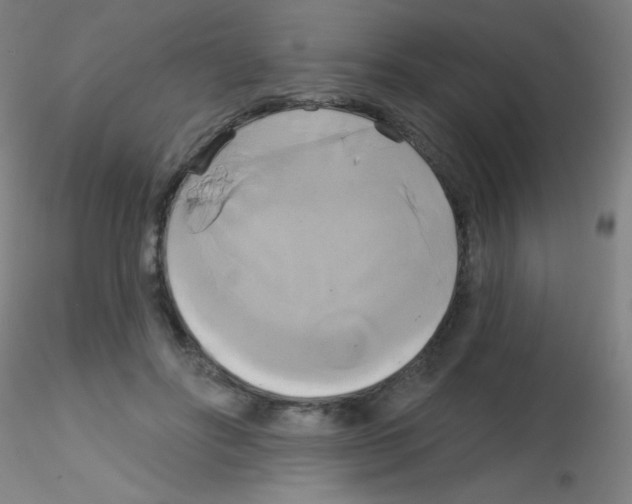 X0000115170502200911251337