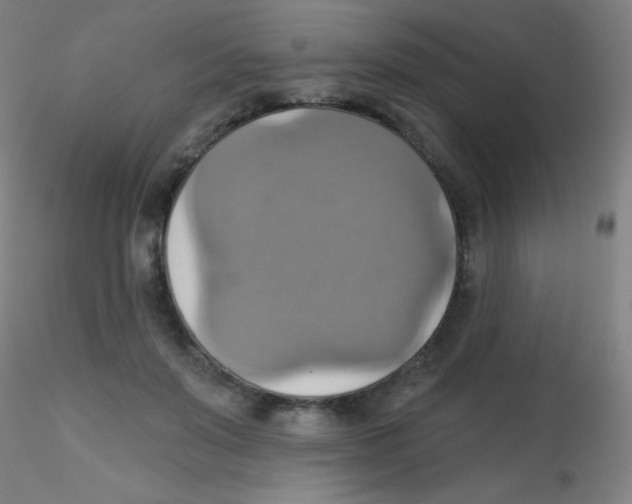 X0000115170503200911251337