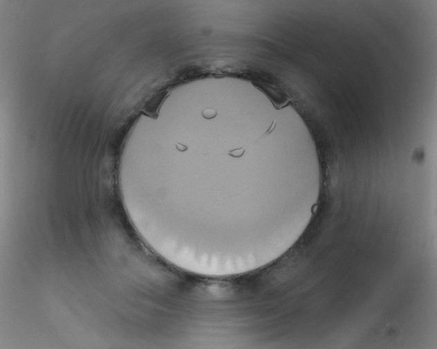 X0000115170506200911251337